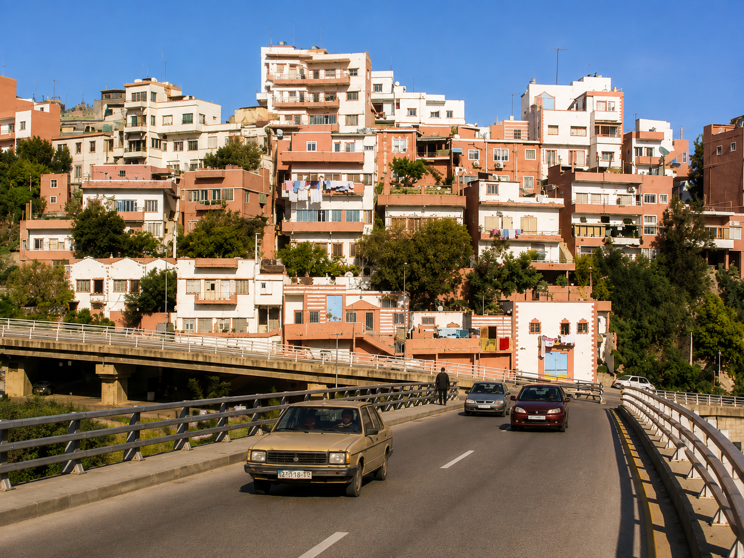 Karm el Zeitoun's Revitalization