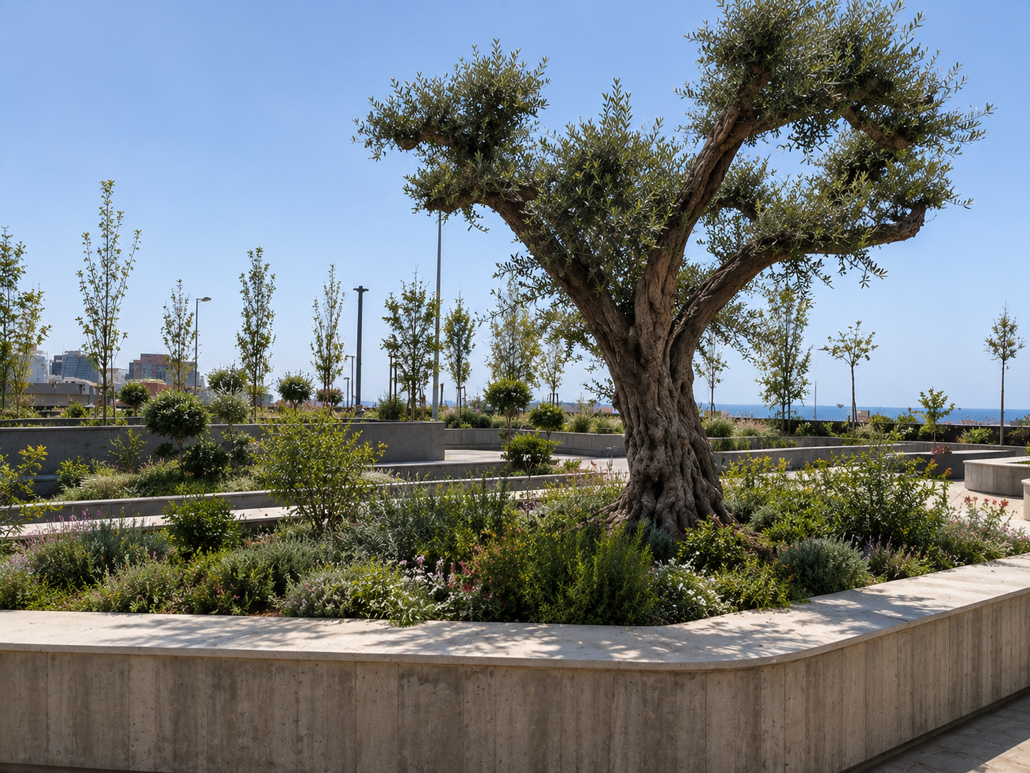 Al Zahraa' Hospital Landscaping Design